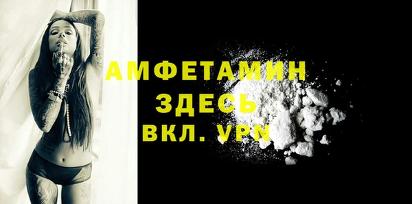 стаф Липки