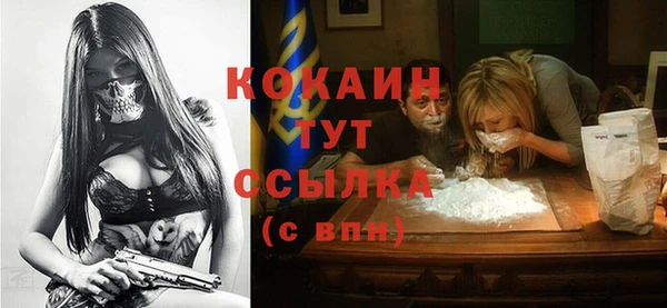 твердый Абаза